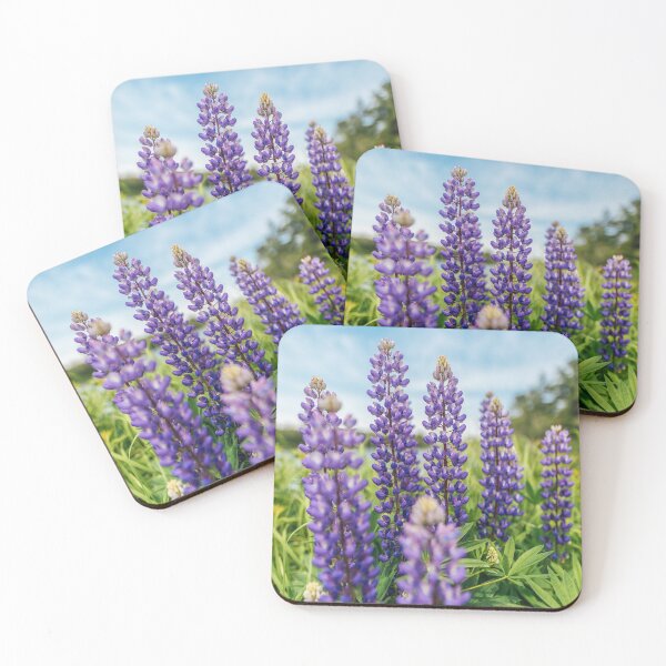 Item preview, Lupine Flower Blooming in Maine designed and sold by katelizspra.