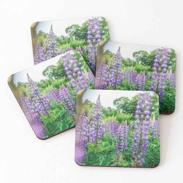 Item preview, Lots of Lupine in Bloom, Springtime in Maine designed and sold by katelizspra.