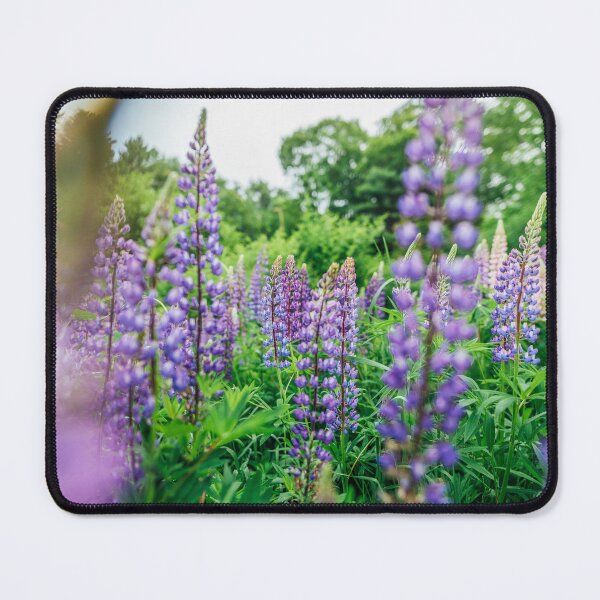 Item preview, Lots of Lupine in Bloom, Springtime in Maine designed and sold by katelizspra.