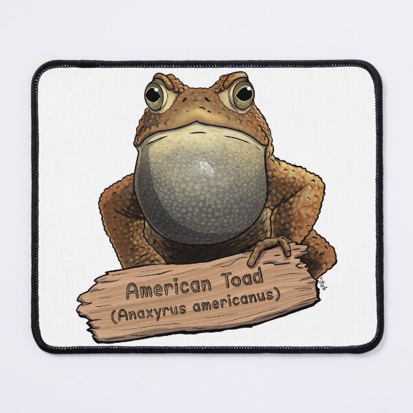 Item preview, American Toad by Woodsmith designed and sold by SJWoodsmith.