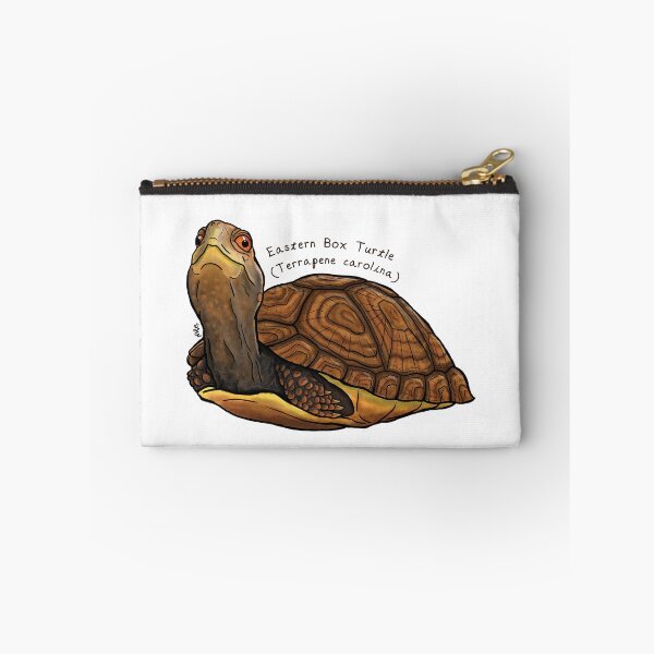 Item preview, Eastern Box Turtle by Woodsmith designed and sold by SJWoodsmith.