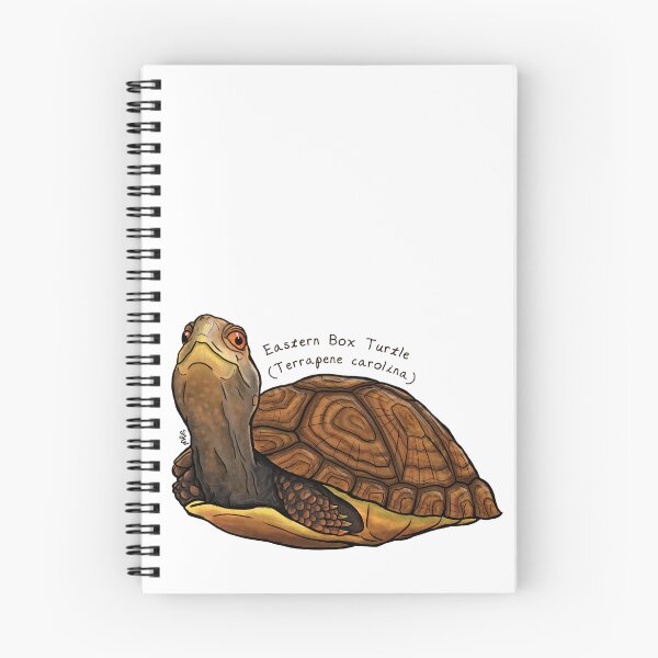 Item preview, Eastern Box Turtle by Woodsmith designed and sold by SJWoodsmith.