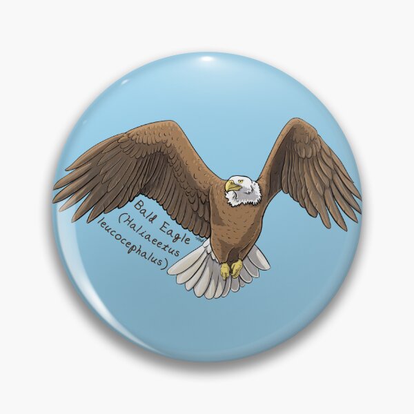 Item preview, Bald Eagle by Woodsmith designed and sold by SJWoodsmith.