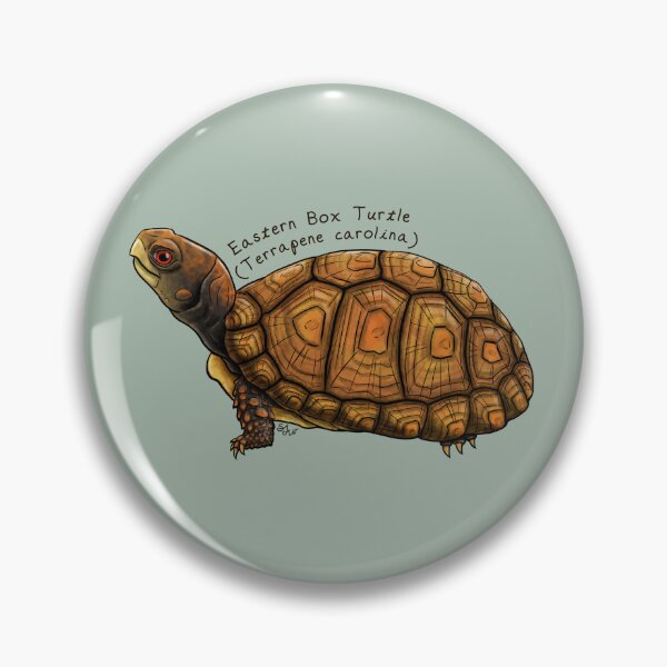 Item preview, Eastern Box Turtle -sideview- by Woodsmith designed and sold by SJWoodsmith.