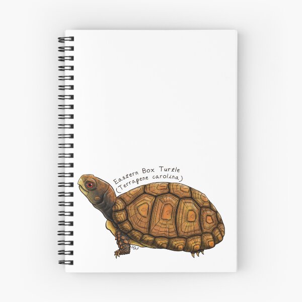 Item preview, Eastern Box Turtle -sideview- by Woodsmith designed and sold by SJWoodsmith.