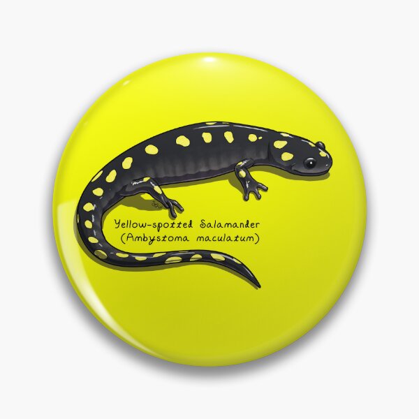 Item preview, Yellow-spotted Salamander by Woodsmith designed and sold by SJWoodsmith.