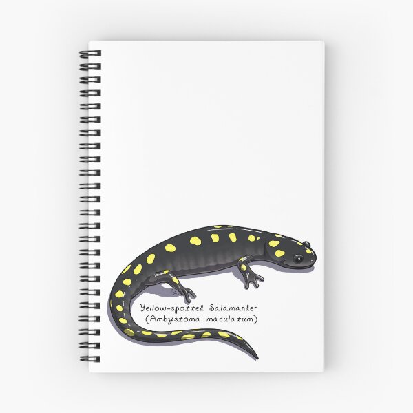 Item preview, Yellow-spotted Salamander by Woodsmith designed and sold by SJWoodsmith.