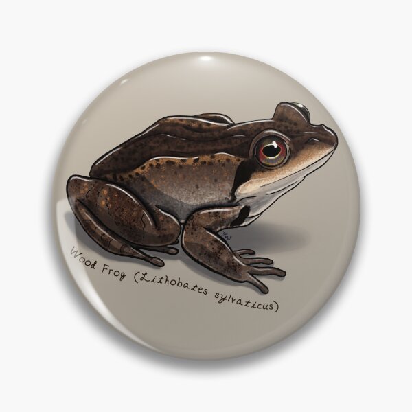 Aperçu de l'œuvre Grenouille en bois par Woodsmith créée et vendue par SJWoodsmith.