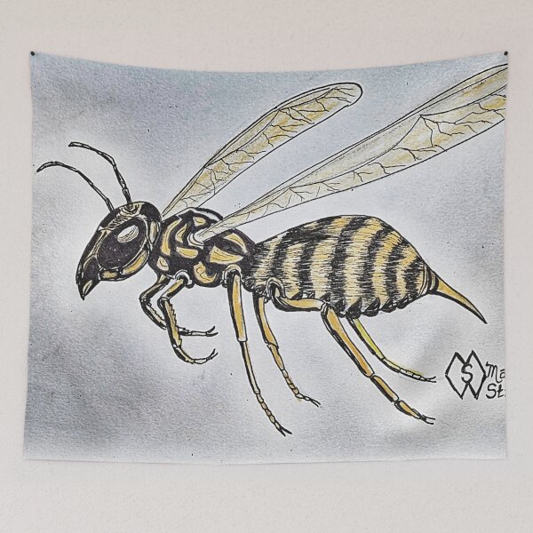 Item preview, Wasp study  designed and sold by Matt Starr Fine Art .