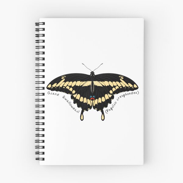 Item preview, Giant Swallowtail Butterfly by Woodsmith designed and sold by SJWoodsmith.