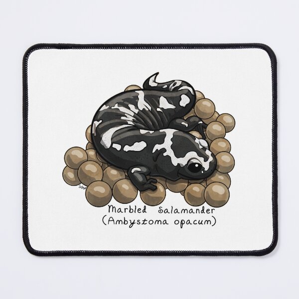 Item preview, Marbled Salamander with Eggs by Woodsmith designed and sold by SJWoodsmith.