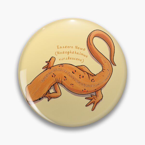Item preview, Eastern Newt by Woodsmith designed and sold by SJWoodsmith.