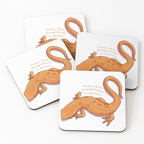 Item preview, Eastern Newt by Woodsmith designed and sold by SJWoodsmith.