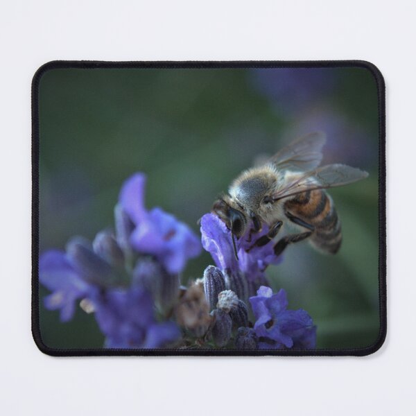 Item preview, Lavender pollination designed and sold by laura leclerc.