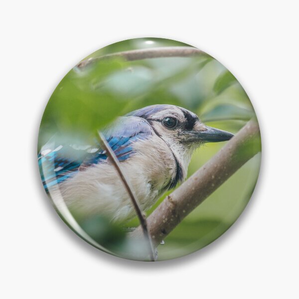 Item preview, Bluejay in the Trees designed and sold by katelizspra.