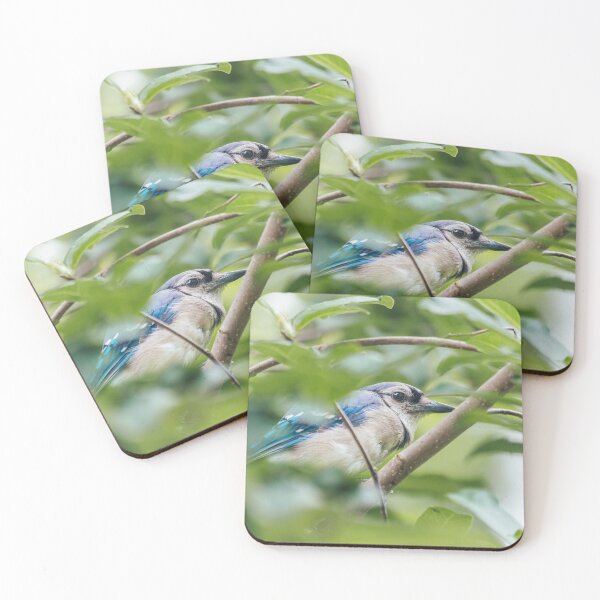 Item preview, Bluejay in the Trees designed and sold by katelizspra.