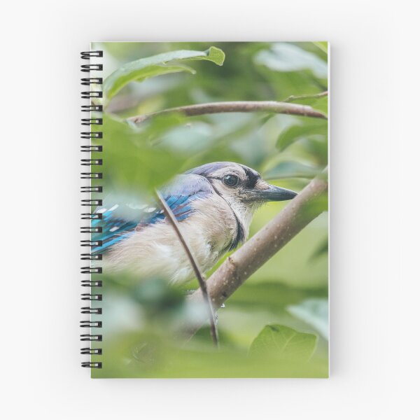 Item preview, Bluejay in the Trees designed and sold by katelizspra.