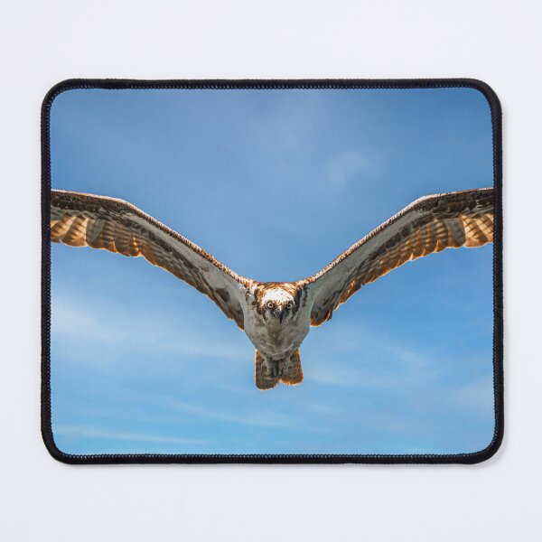 Item preview, Sky Sovereign: Osprey in Flight designed and sold by TheHikersEye.