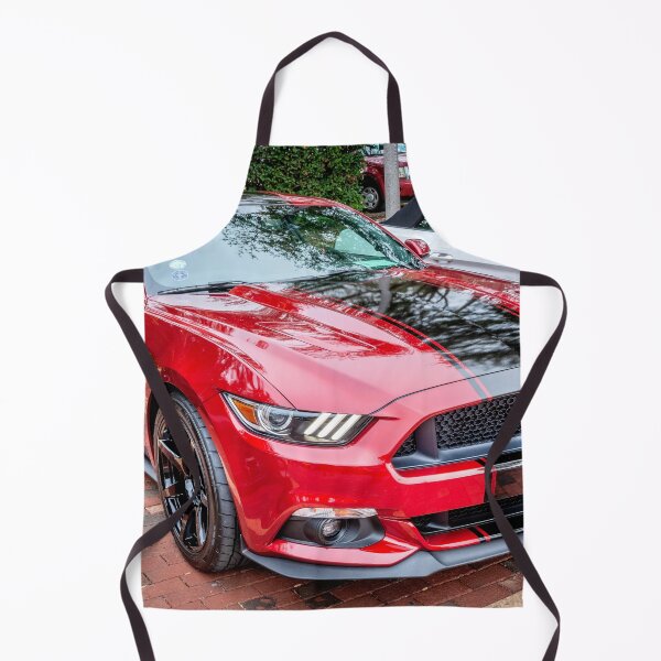 Item preview, 2015 Red Ford Mustang GT 5.0 X146 designed and sold by RichFrancoCars.