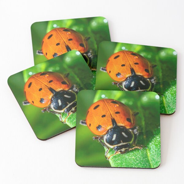Item preview, Tiny Traveler: Ladybug on a Leaf designed and sold by TheHikersEye.