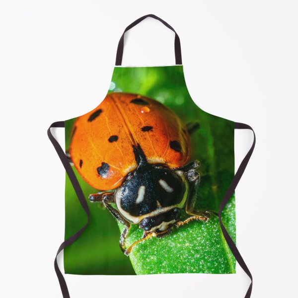 Item preview, Tiny Traveler: Ladybug on a Leaf designed and sold by TheHikersEye.
