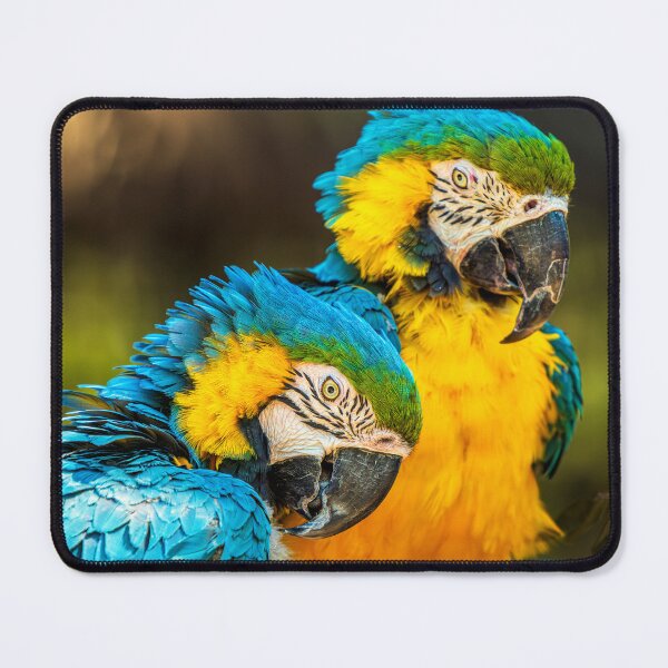 Item preview, Tropical Companions designed and sold by TheHikersEye.