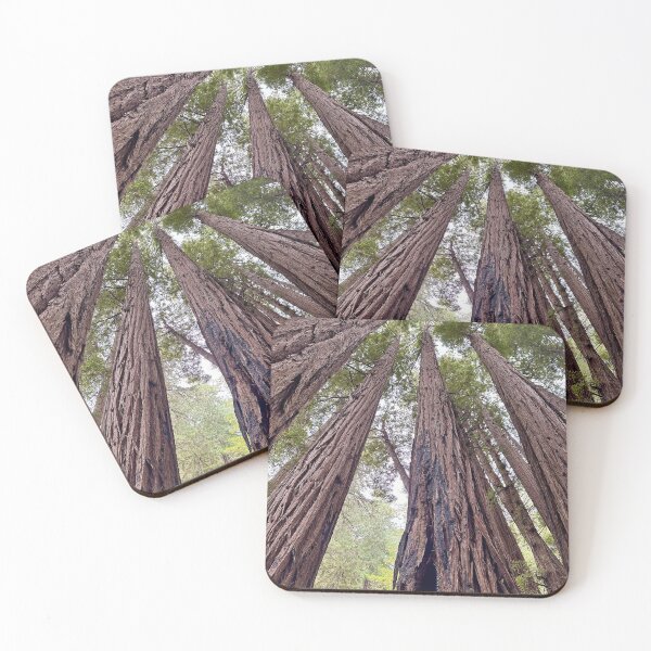 Item preview, Muir Woods, San Francisco designed and sold by The Intentional Glimpse.