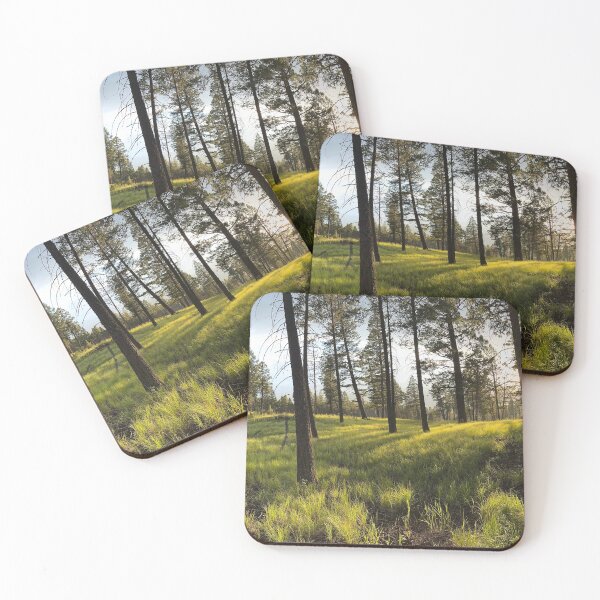 Item preview, Afternoon Sun in Radium, BC designed and sold by The Intentional Glimpse.