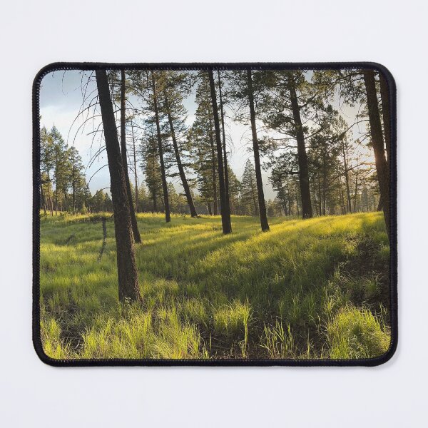 Item preview, Afternoon Sun in Radium, BC designed and sold by The Intentional Glimpse.
