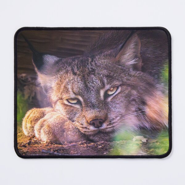 Item preview, Twilight Guardian: Resting Lynx designed and sold by TheHikersEye.