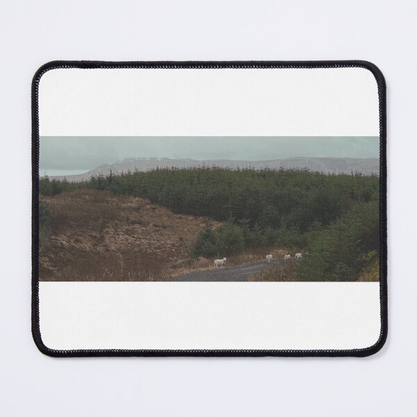 Item preview, sheep grazing with Dumgoyne and Campsie Fells in the background (January 2026) designed and sold by photosbykel.