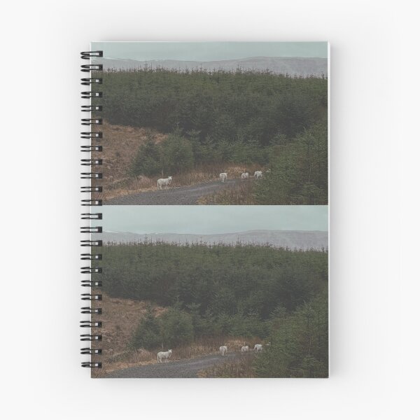 Item preview, sheep grazing with Dumgoyne and Campsie Fells in the background (January 2026) designed and sold by photosbykel.