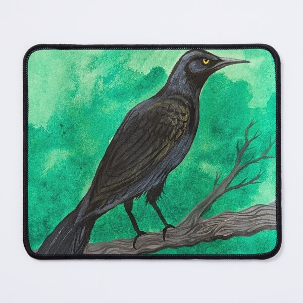 Item preview, A great-tailed grackle perched in a tree designed and sold by Matt Starr Fine Art .