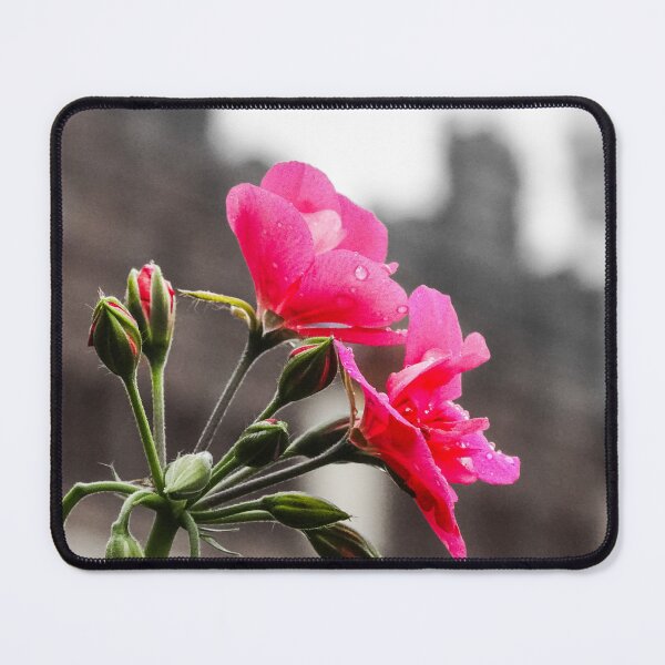 Item preview, Neon Bloom in the Grey designed and sold by Tammigrafie.