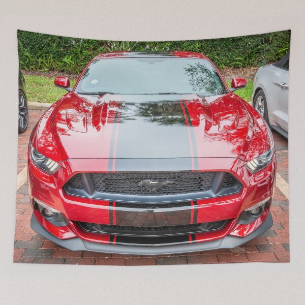 Item preview, 2015 Red Ford Mustang GT 5.0 X147 designed and sold by RichFrancoCars.