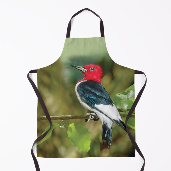 Item preview, Red-Headed Woodpecker, Portrait designed and sold by Kay Brewer.