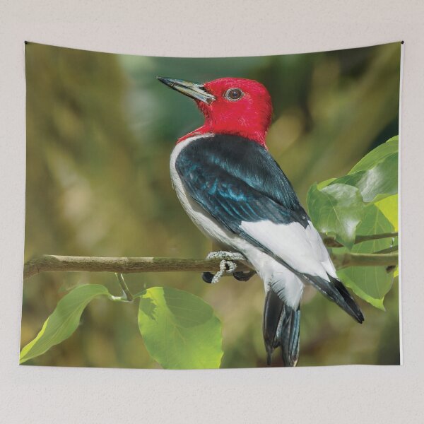Item preview, Red-Headed Woodpecker, Portrait designed and sold by Kay Brewer.