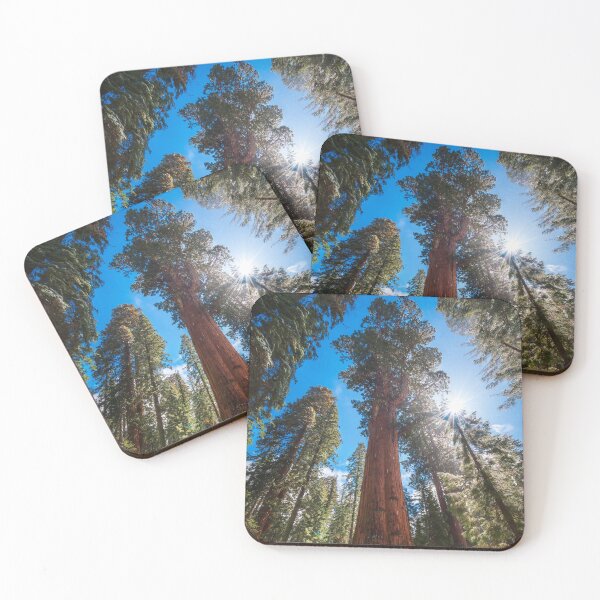 Item preview, Winter Light on the Giant General Sherman designed and sold by TheHikersEye.