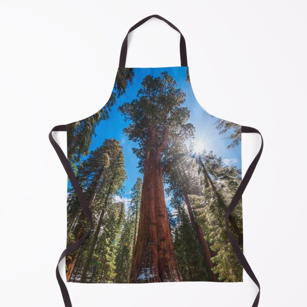 Item preview, Winter Light on the Giant General Sherman designed and sold by TheHikersEye.