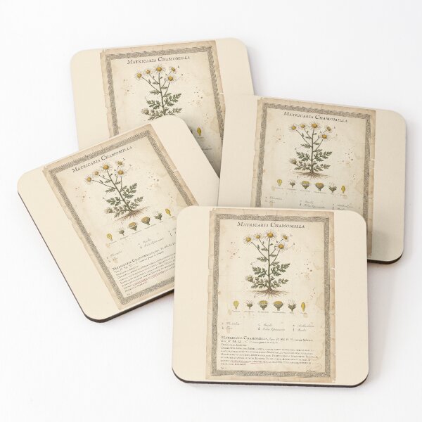Item preview, Vintage Matricaria Chamomilla Botanical Print designed and sold by Jeeklsdotcom.