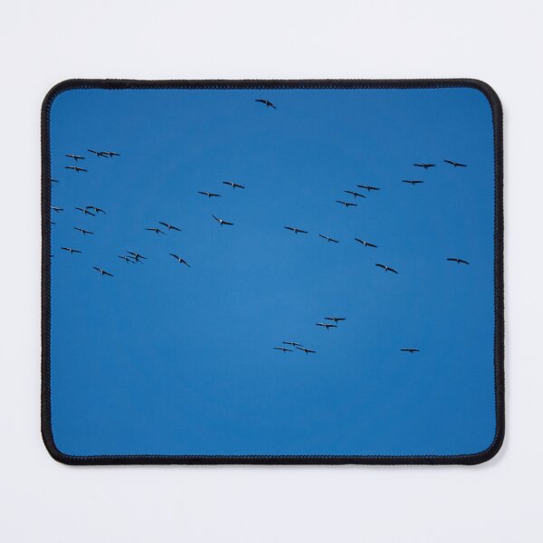 Item preview, Crane Migration designed and sold by Eidetic Photos.