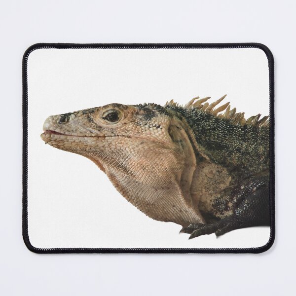 Item preview, Portrait of an Iguana - Prehistoric Details designed and sold by Simply-Visual.