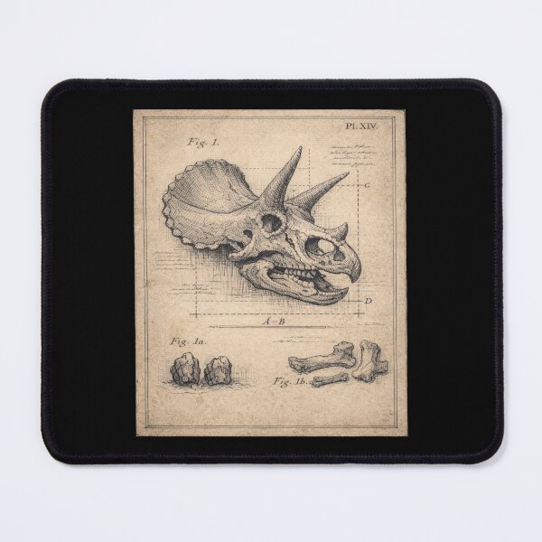 Item preview, Dinosaur Skull Engraving – Gift for Book Lovers • Dark Academia Paleontology Art designed and sold by JacobKAurumhead.