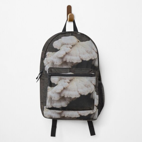 Item preview, Fungi on log (Scotland) (January 2026) designed and sold by photosbykel.