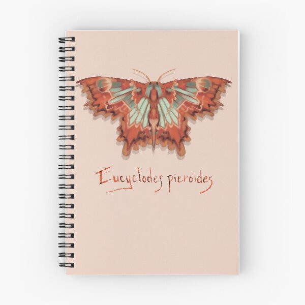 Item preview, Female Wattle Bizarre Looper Moth - Eucyclodes pieroides designed and sold by Coral the Artisan.