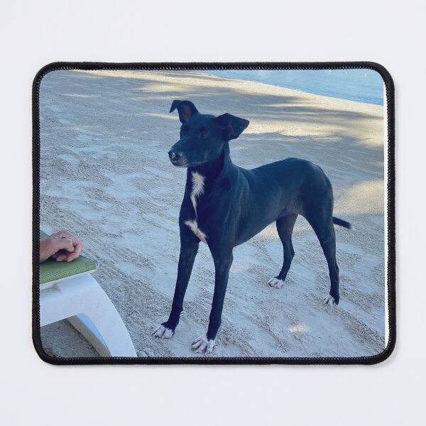 Item preview, Beach Dog in Negril Jamaica designed and sold by IrieShots.