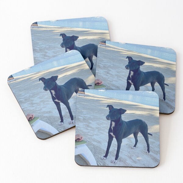 Item preview, Beach Dog in Negril Jamaica designed and sold by IrieShots.