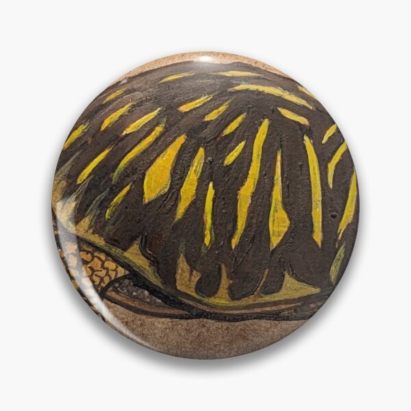 Item preview, Ornate box turtle study  designed and sold by Matt Starr Fine Art .