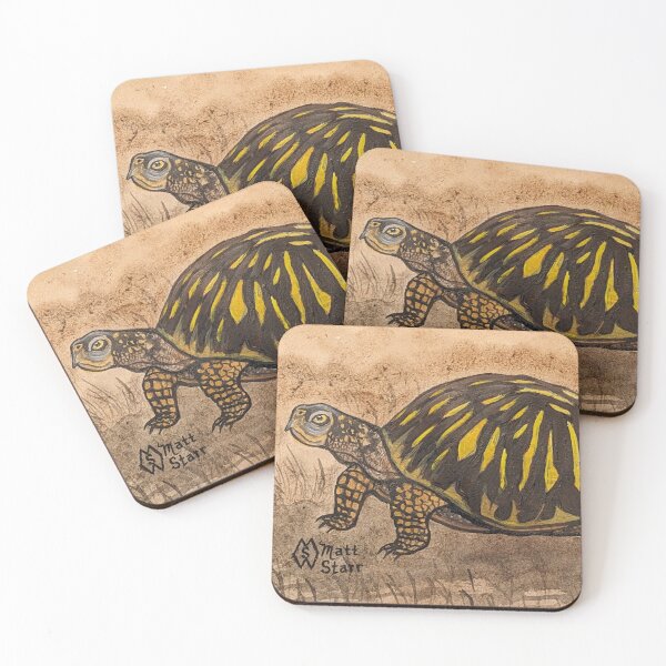 Item preview, Ornate box turtle study  designed and sold by Matt Starr Fine Art .