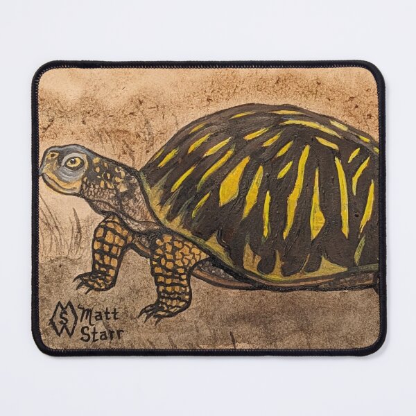 Item preview, Ornate box turtle study designed and sold by Matt Starr Fine Art .